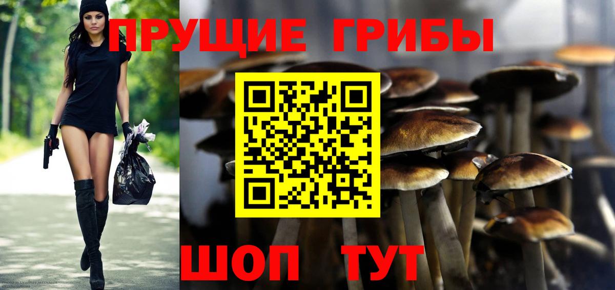 Псилоцибиновые грибы GOLDEN TEACHER  Галлюциногенные грибы мухоморы  Оренбург  Вход с VPN 