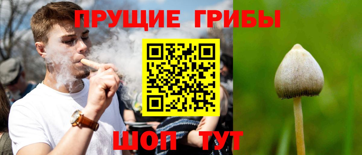 Галлюциногенные грибы ЛСД Оренбург